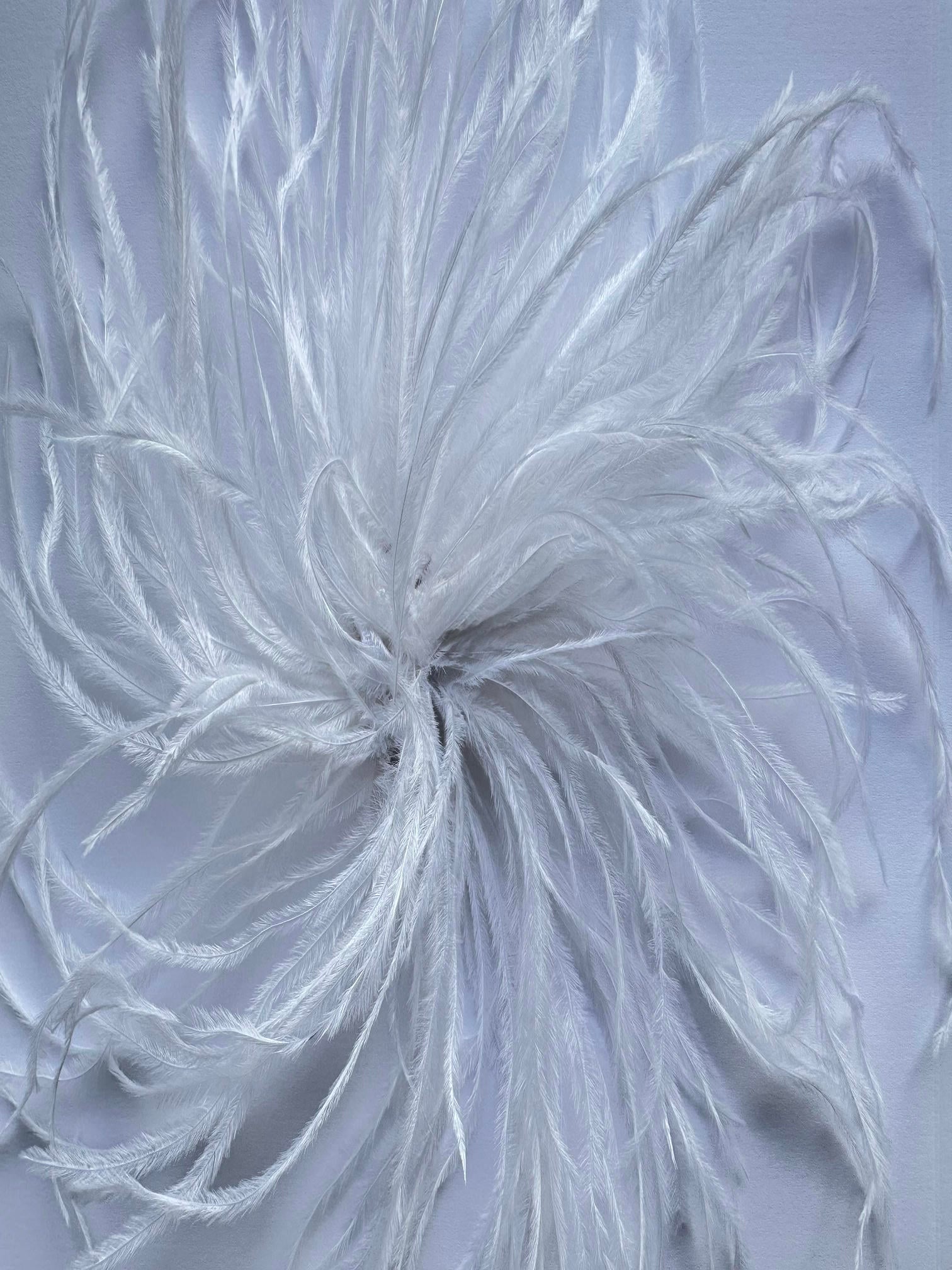 Feather Brooch with Pin Fastening